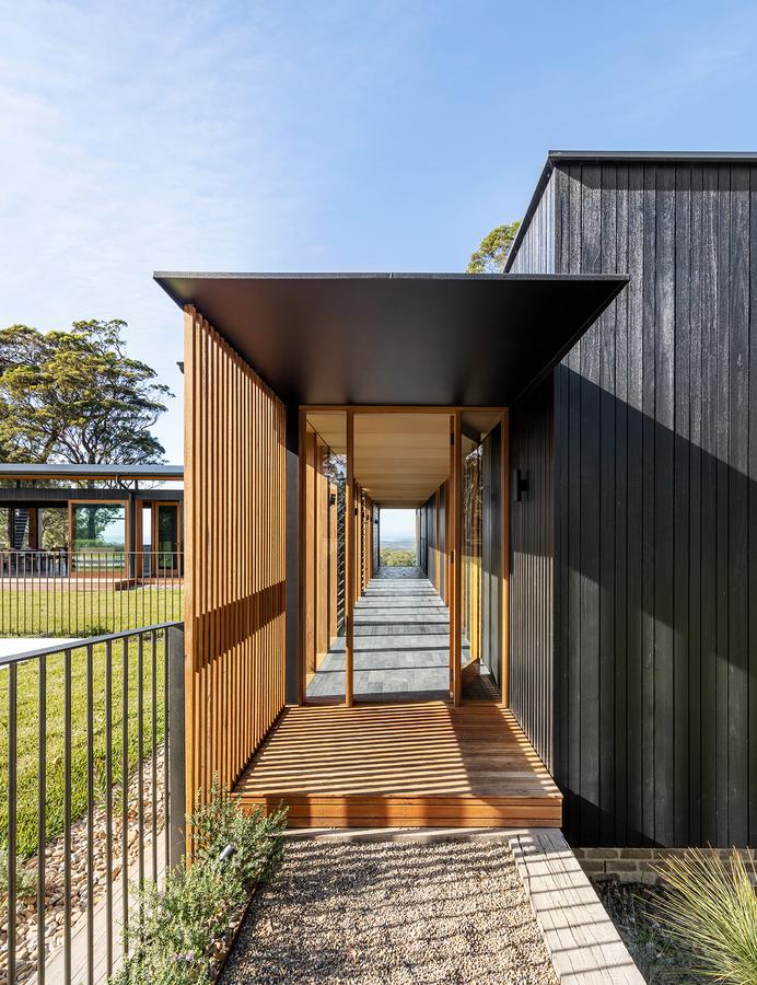 Entry walkway under a timber canopy
