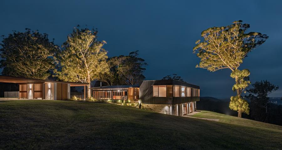 Gum trees lit at night