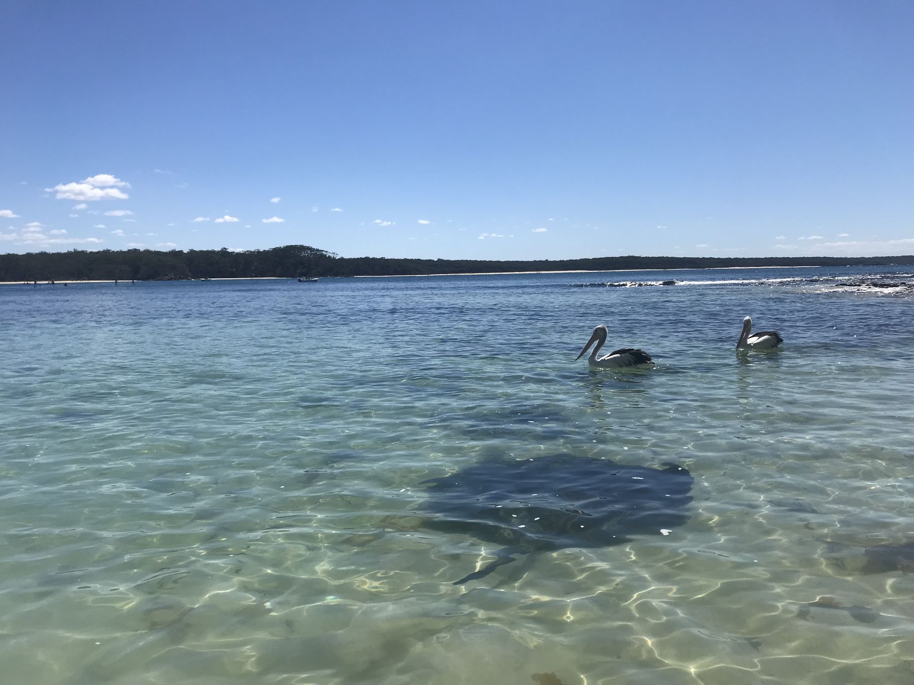 Boat Harbour Beach, photo 2