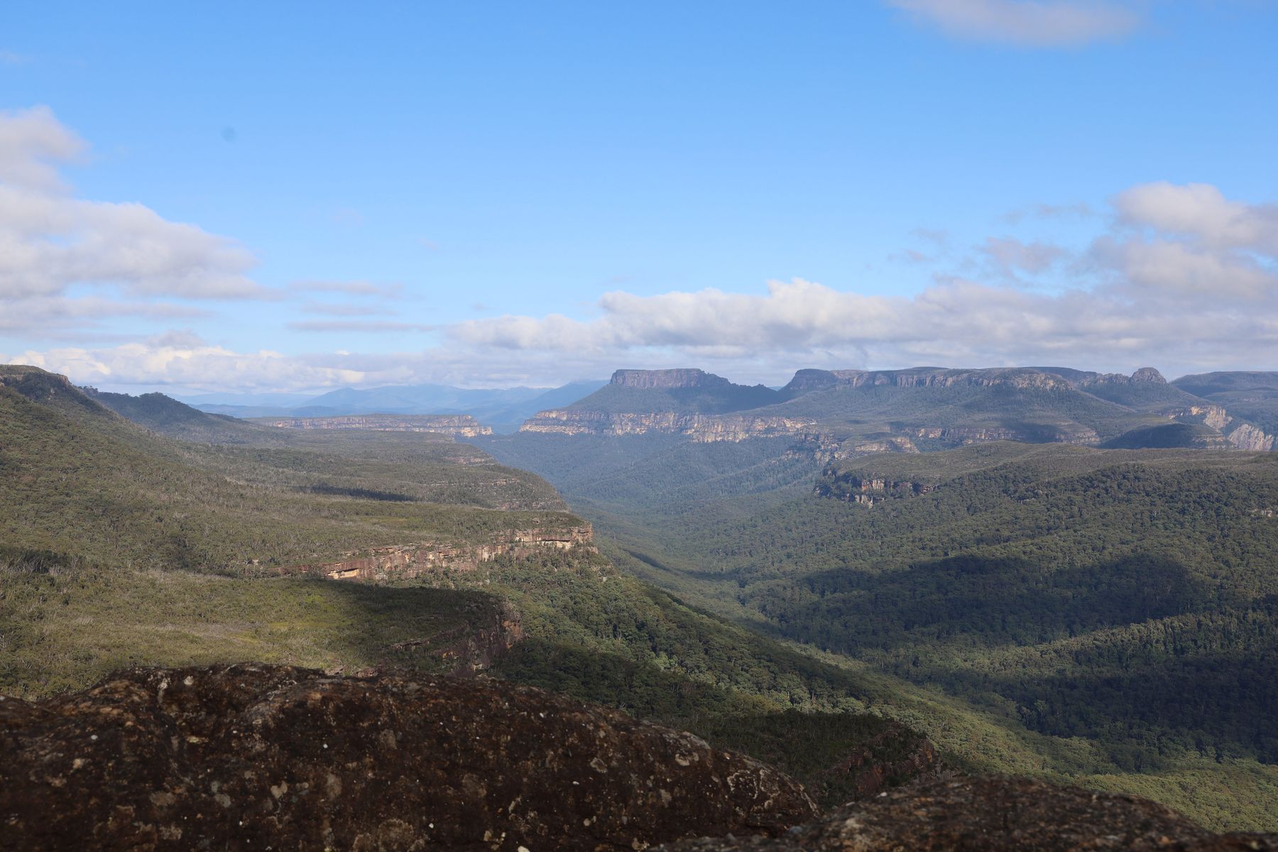 Mount Bushwalker