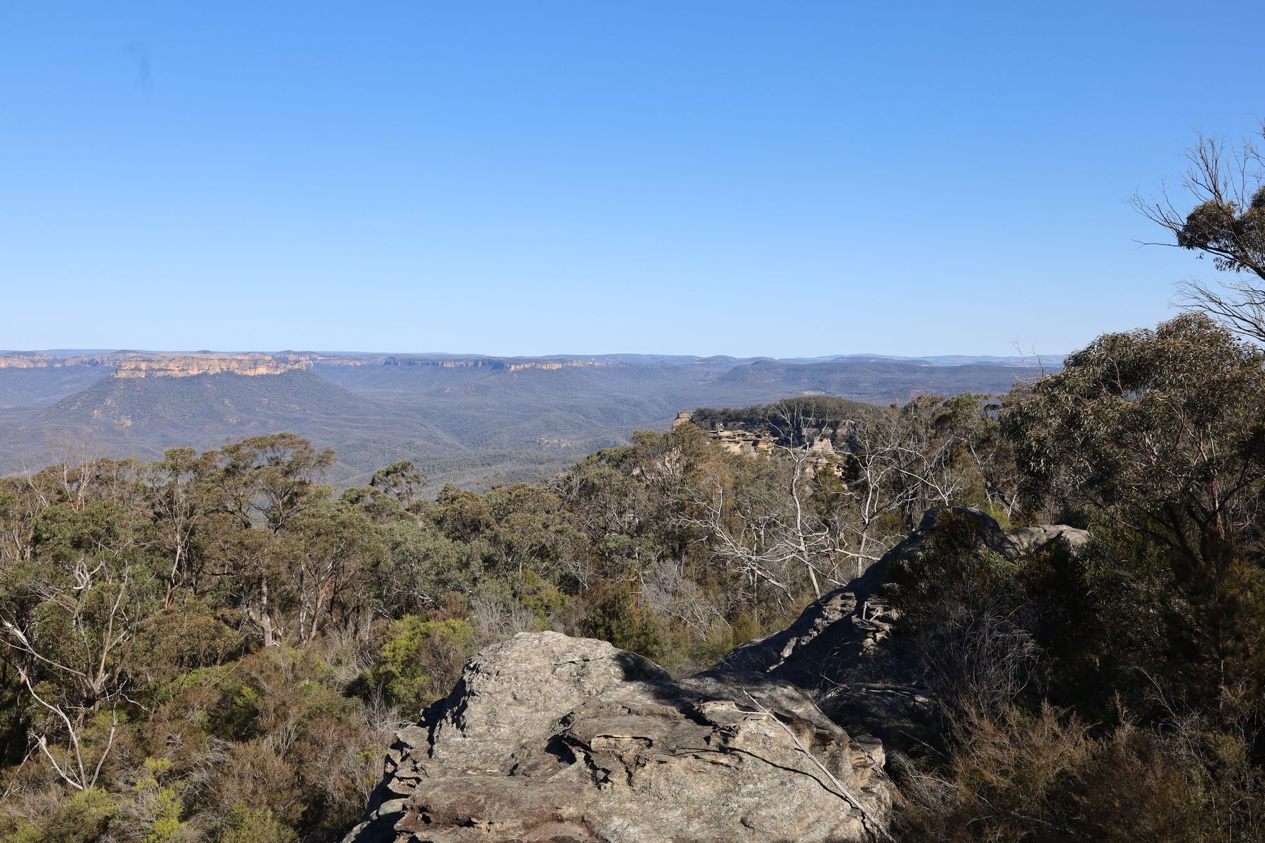 Mount Bushwalker, photo 3